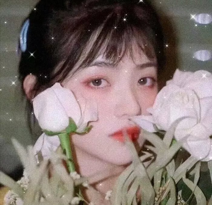 真凶（电影）