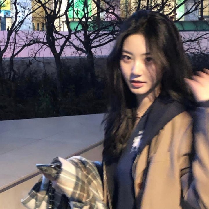 鲨人树儿